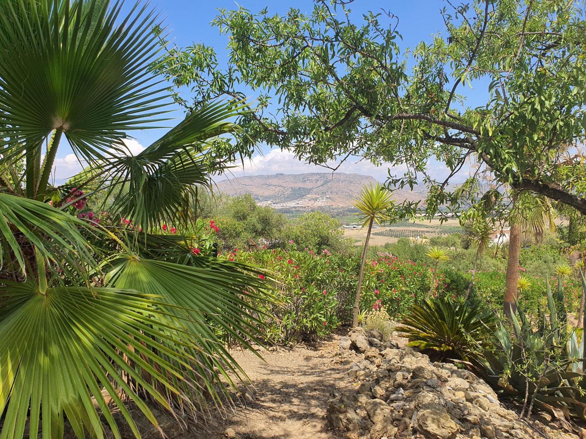 Finca Flamenco Holiday Suites Adults Only Pizarra Exterior foto